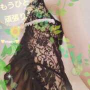 ヒメ日記 2025/05/16 10:16 投稿 まみ スイカ