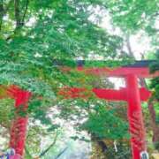 ヒメ日記 2025/05/26 11:19 投稿 まみ スイカ