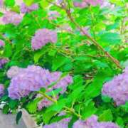 ヒメ日記 2025/06/23 11:20 投稿 まみ スイカ