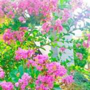 ヒメ日記 2025/08/04 11:21 投稿 まみ スイカ