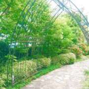 ヒメ日記 2025/08/25 09:01 投稿 まみ スイカ