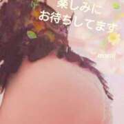 ヒメ日記 2025/09/05 09:01 投稿 まみ スイカ