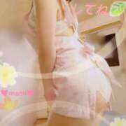 ヒメ日記 2025/09/21 04:00 投稿 まみ スイカ