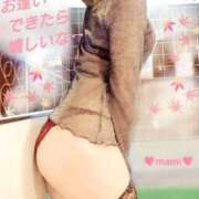 ヒメ日記 2025/11/15 04:06 投稿 まみ スイカ