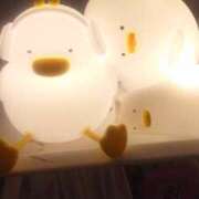 ヒメ日記 2025/11/24 09:10 投稿 まみ スイカ