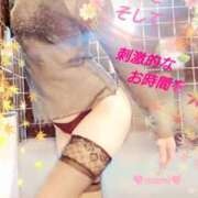 ヒメ日記 2025/11/30 04:03 投稿 まみ スイカ