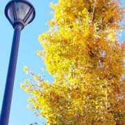 ヒメ日記 2025/12/01 08:45 投稿 まみ スイカ