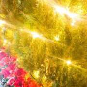 ヒメ日記 2025/12/22 08:10 投稿 まみ スイカ