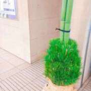 ヒメ日記 2026/01/05 08:40 投稿 まみ スイカ