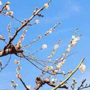 ヒメ日記 2026/02/09 07:56 投稿 まみ スイカ