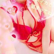 ヒメ日記 2026/02/22 04:00 投稿 まみ スイカ