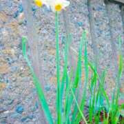 ヒメ日記 2026/02/23 07:48 投稿 まみ スイカ