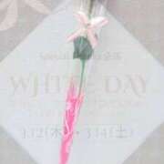 ヒメ日記 2026/03/16 08:17 投稿 まみ スイカ