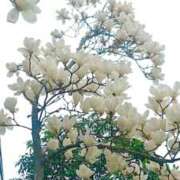 ヒメ日記 2026/03/23 08:00 投稿 まみ スイカ