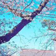 ヒメ日記 2026/03/30 07:43 投稿 まみ スイカ