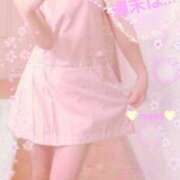 ヒメ日記 2026/04/10 07:37 投稿 まみ スイカ