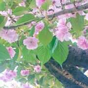 ヒメ日記 2026/04/13 08:05 投稿 まみ スイカ