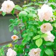 ヒメ日記 2026/05/18 07:40 投稿 まみ スイカ