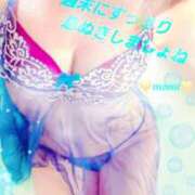 ヒメ日記 2026/06/26 07:47 投稿 まみ スイカ
