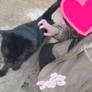 ヒメ日記 2025/03/06 14:15 投稿 つばさ スイカ