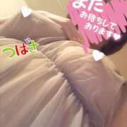 ヒメ日記 2025/04/09 14:05 投稿 つばさ スイカ