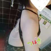 ヒメ日記 2025/07/03 11:21 投稿 つばさ スイカ