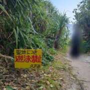 ヒメ日記 2025/07/14 12:31 投稿 つばさ スイカ