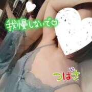 ヒメ日記 2025/07/31 08:20 投稿 つばさ スイカ