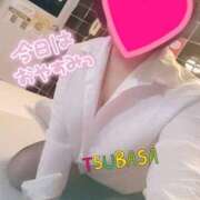 ヒメ日記 2025/08/16 07:45 投稿 つばさ スイカ