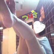 ヒメ日記 2025/08/19 06:30 投稿 つばさ スイカ