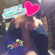 ヒメ日記 2025/09/29 09:10 投稿 つばさ スイカ