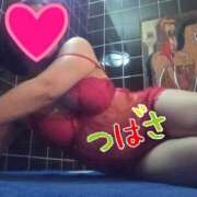 ヒメ日記 2025/10/07 21:17 投稿 つばさ スイカ