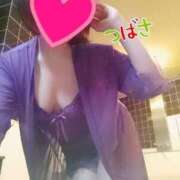 ヒメ日記 2025/10/12 10:03 投稿 つばさ スイカ