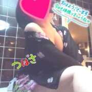 ヒメ日記 2025/10/24 07:50 投稿 つばさ スイカ