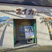 ヒメ日記 2026/01/03 09:11 投稿 つばさ スイカ