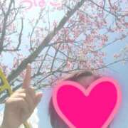 ヒメ日記 2026/02/27 12:32 投稿 つばさ スイカ