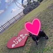 ヒメ日記 2026/03/09 15:15 投稿 つばさ スイカ