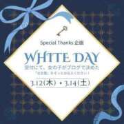 ヒメ日記 2026/03/12 08:02 投稿 つばさ スイカ