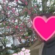 ヒメ日記 2026/03/21 09:06 投稿 つばさ スイカ