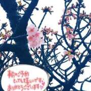 ヒメ日記 2025/01/21 11:16 投稿 みらい 奥鉄オクテツ東京店（デリヘル市場）