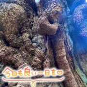 ヒメ日記 2025/01/22 11:27 投稿 みらい 奥鉄オクテツ東京店（デリヘル市場）