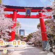 ヒメ日記 2025/04/08 11:28 投稿 みらい 奥鉄オクテツ東京店（デリヘル市場）