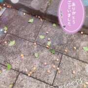 ヒメ日記 2025/10/12 09:55 投稿 みらい 奥鉄オクテツ東京店（デリヘル市場）