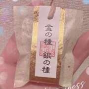 ヒメ日記 2025/11/14 09:21 投稿 みらい 奥鉄オクテツ東京店（デリヘル市場）