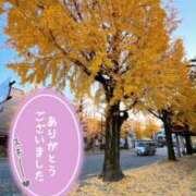 ヒメ日記 2025/11/21 19:28 投稿 みらい 奥鉄オクテツ東京店（デリヘル市場）