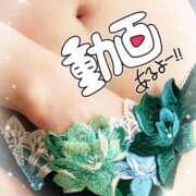 ヒメ日記 2025/12/30 11:18 投稿 みらい 奥鉄オクテツ東京店（デリヘル市場）