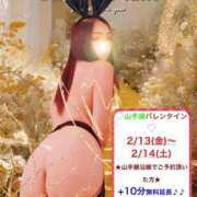 ヒメ日記 2026/02/14 09:27 投稿 みらい 奥鉄オクテツ東京店（デリヘル市場）