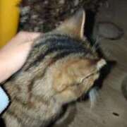 ヒメ日記 2025/01/19 23:33 投稿 三日月姫 螢