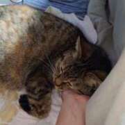 ヒメ日記 2025/02/03 20:36 投稿 三日月姫 螢