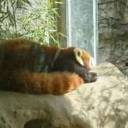 ヒメ日記 2025/02/05 08:36 投稿 三日月姫 螢